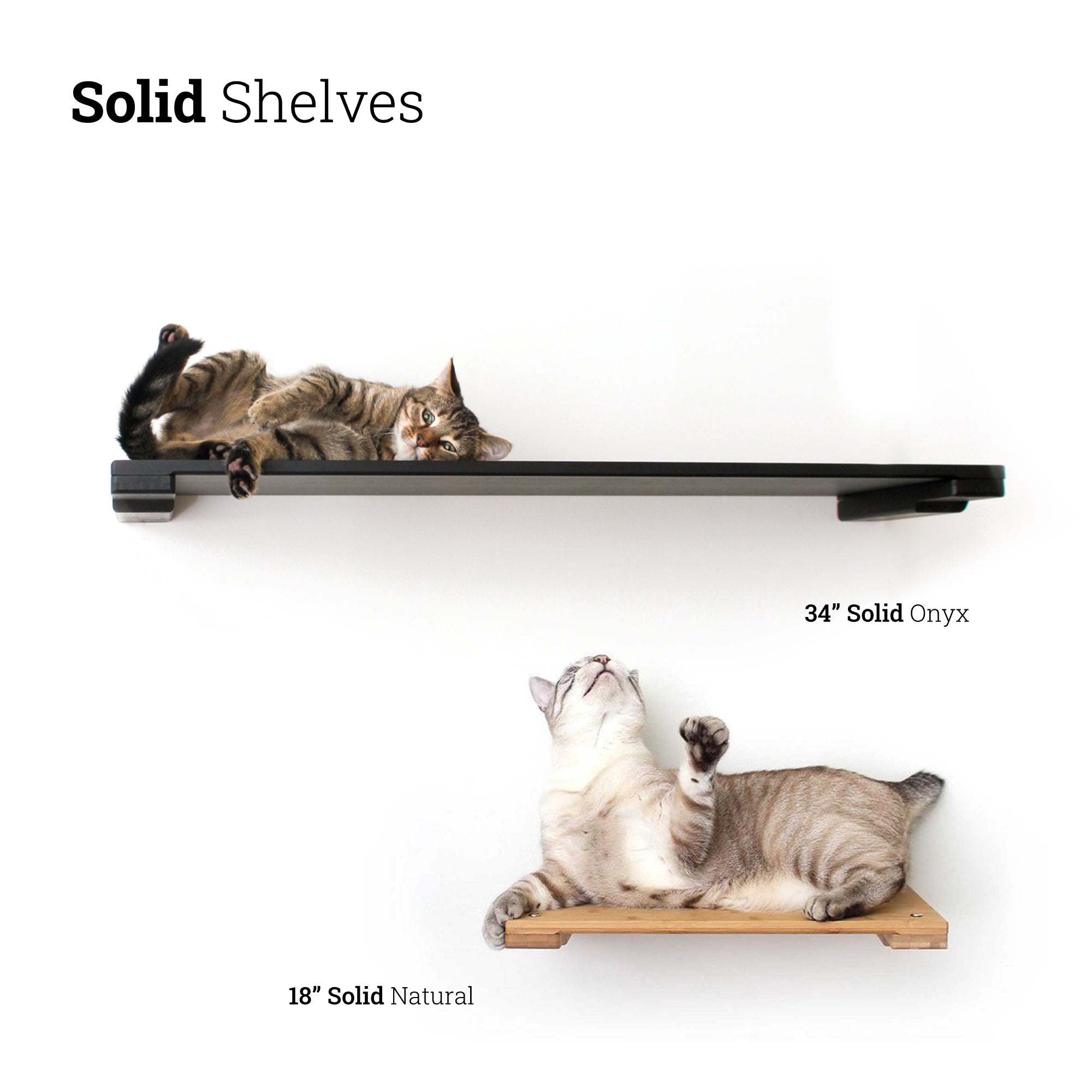 Wall-Mounted Cat Shelf by Catastrophic Creations