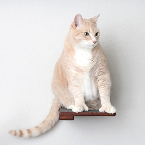 Cat Climbing Shelf by Catastrophic Creations