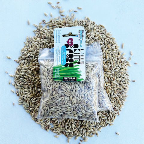 Cat Grass Seed Pack 6x by Three Farms