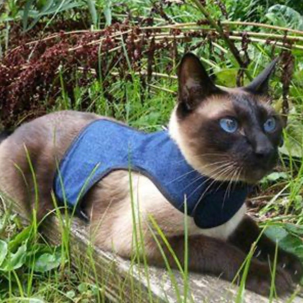 Best cat on sale harness no escape