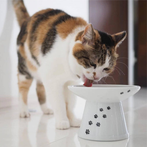 Necoichi raised cat water sales bowl